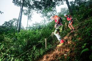 BIB: 
                            <button type="button" onclick="openModal(26202151)" class="btn btn-primary btn-sm float-right btn-popup" data-toggle="modal" data-target=".modal-high-quality">
                        <i class="fas fa-shopping-cart"></i> Add to Cart
                    </button>
                                            <button type="button" onclick="isThisMe(26202151, true)" class="btn btn-success btn-sm float-right btn-popup btn-isme hidden" data-toggle="tooltip" data-placement="bottom" title="นี่คือรูปของคุณใช่ไหม คลิกที่นี่เพื่อเอาเข้าอัลบั้ม">
                        <i class="fas fa-plus"></i> Add to album
                    </button>
                    <button type="button" onclick="isThisMe(26202151, false)" class="btn btn-warning btn-sm float-right btn-popup btn-isnotme hidden">
                        <i class="fas fa-ban"></i> Remove from album
                    </button>